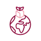 Globe icon